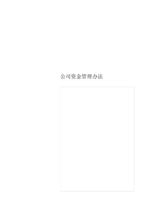 公司资金管理办法