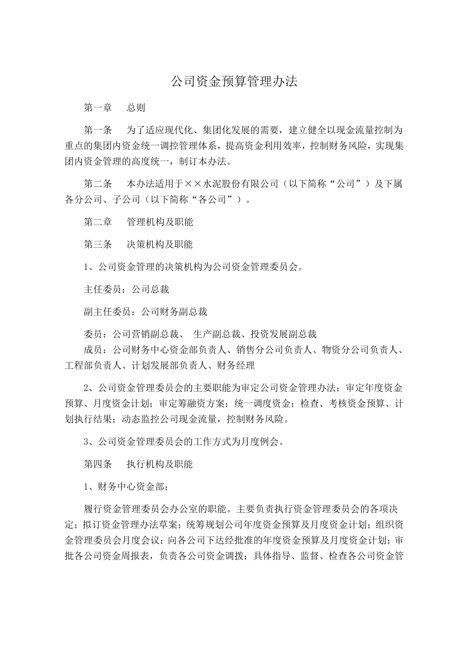 公司资金预算管理办法_第1页