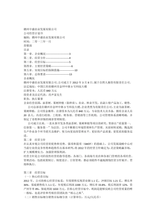 公司运营计划书模板