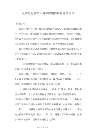 公司采购与付款内部控制审计报告