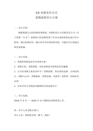 公司采购内部审计方案