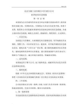 公司防洪防汛应急预案模版
