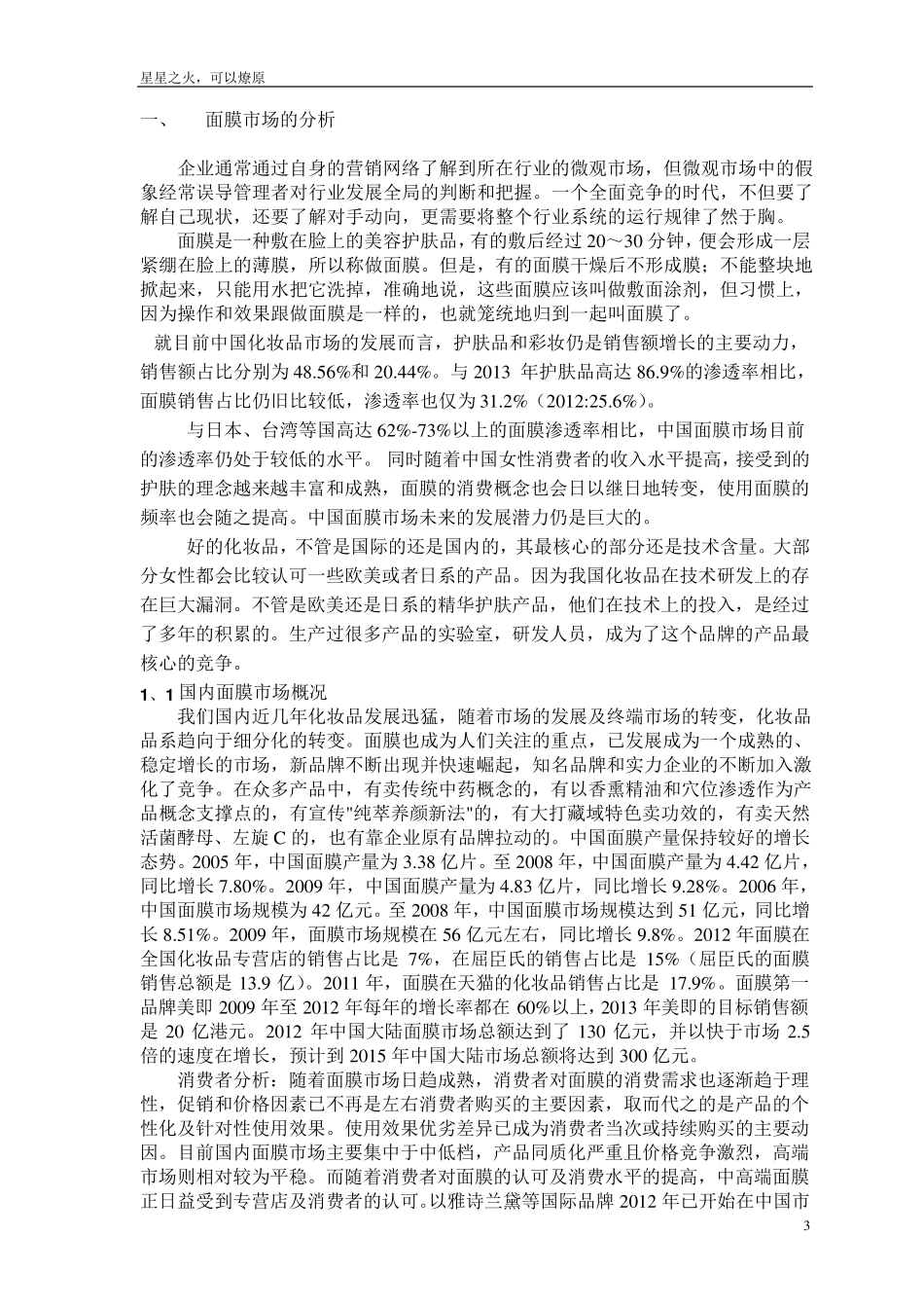 公司项目(面膜)启动计划书文档_第3页