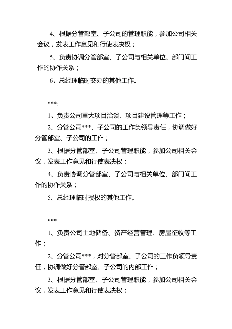 公司领导班子责任分工_第3页