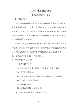 公司风险评估报告