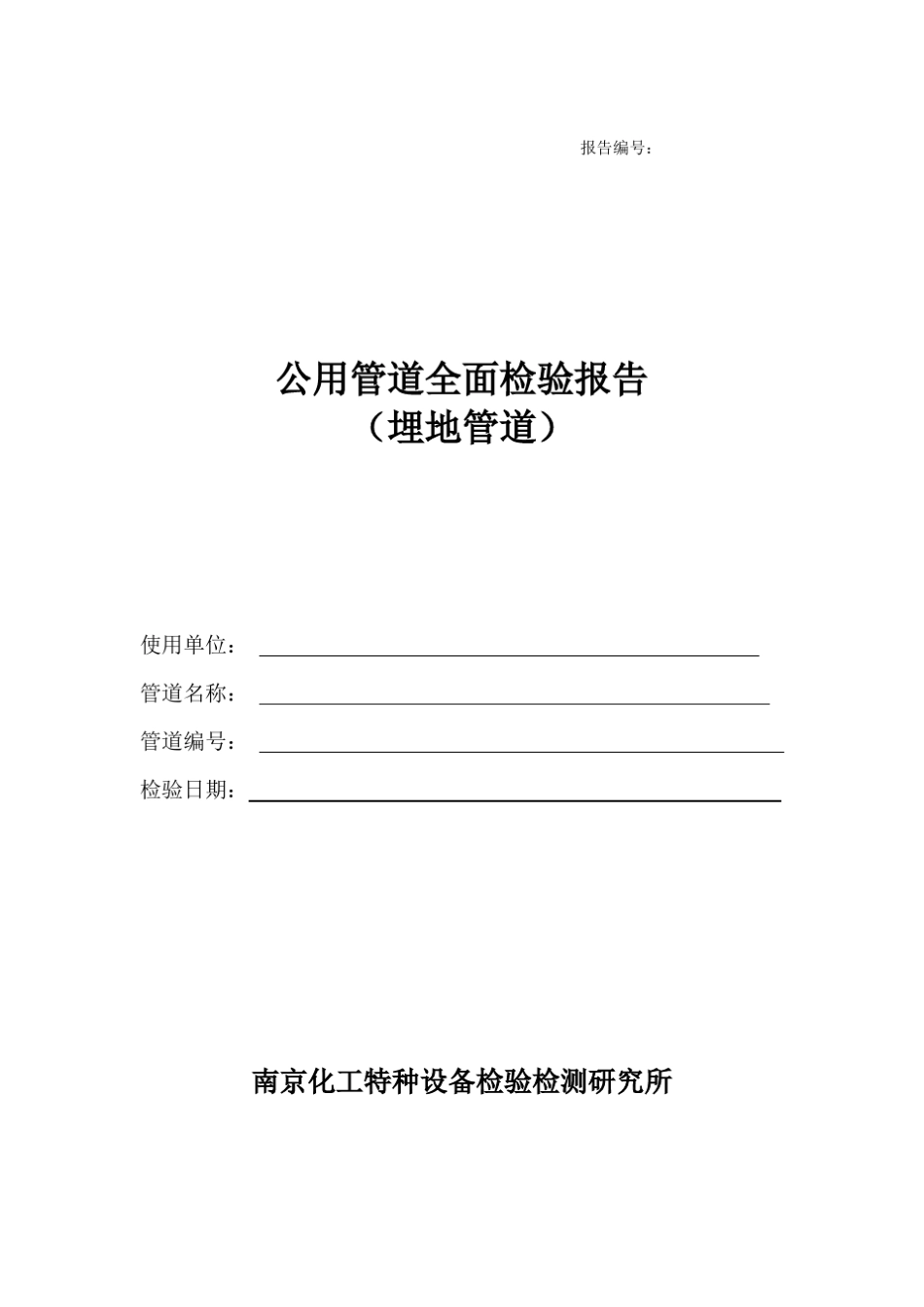 公用管道全面检验报告(埋地管道)_第1页