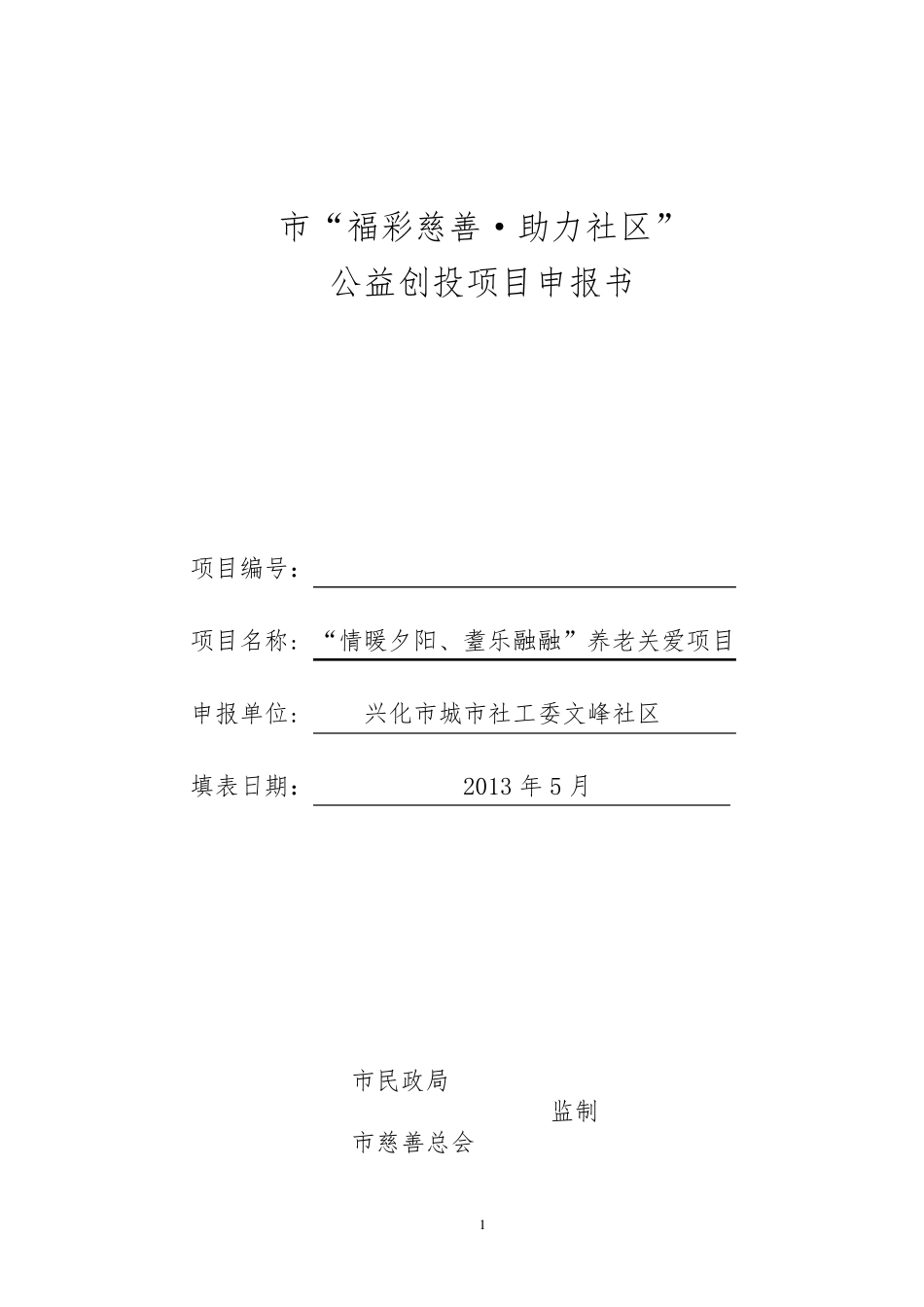 公益创投项目申报书范本_第1页