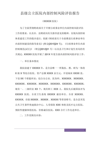 公立医院风险评估报告