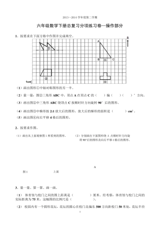 六年级下册总复习分项练习实践操作题画图题