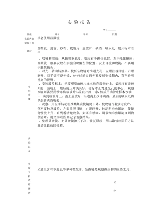 六年级实验报告表上