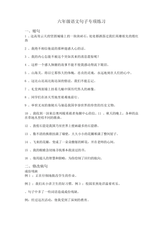 六年级语文句子专项练习