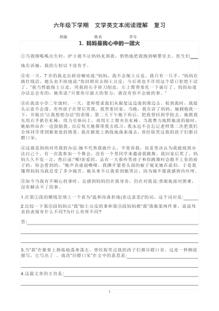 六年级语文文学类文本阅读理解复习题