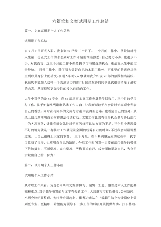 六篇策划文案试用期工作总结