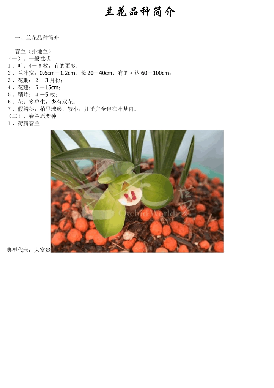 兰花品种简介_第1页