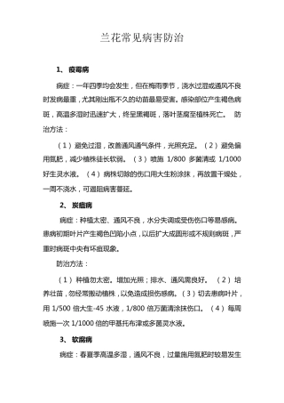 兰花常见病害防治