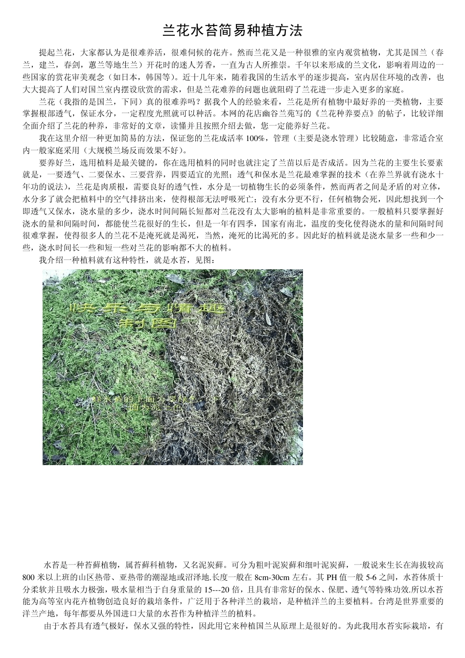 兰花家庭水苔种植_第1页