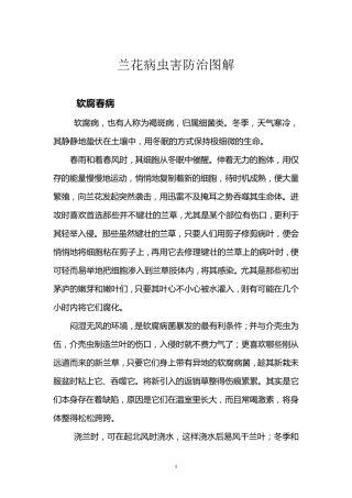 兰花病虫害防治图解