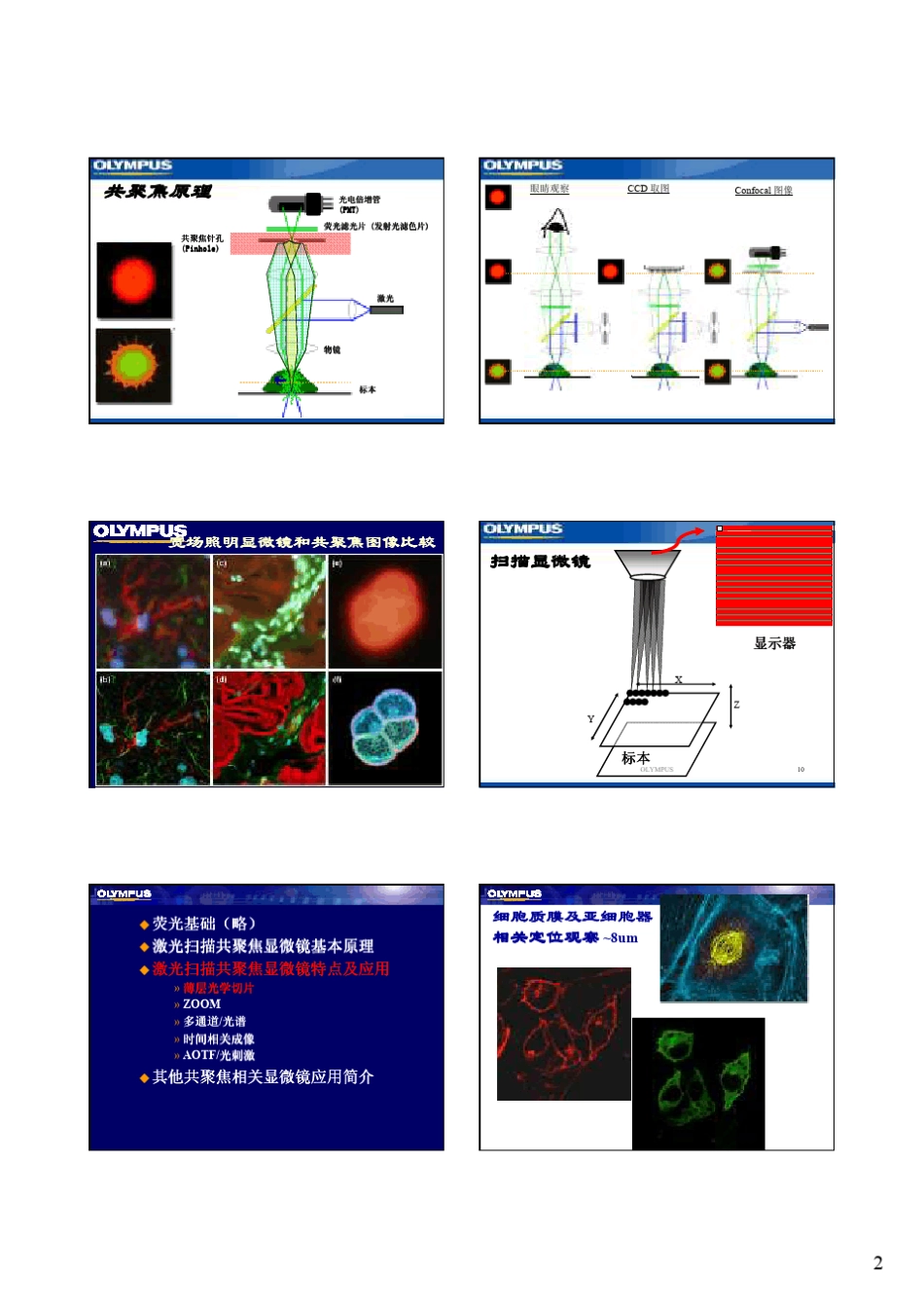 共聚焦显微镜的应用讲座_第2页