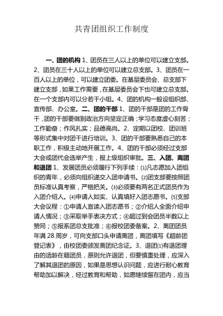 共青团组织工作制度