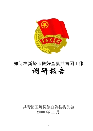 共青团调研报告