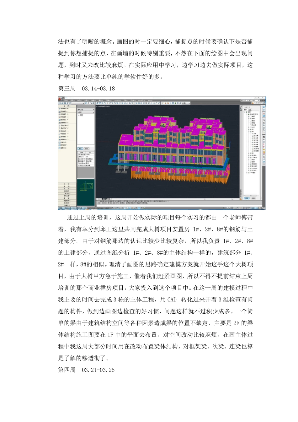 关于BIM毕业实习报告_第3页
