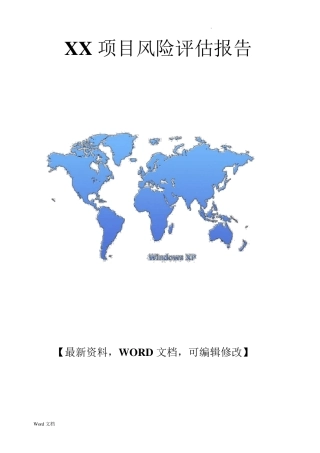 关于XX项目风险评估报告