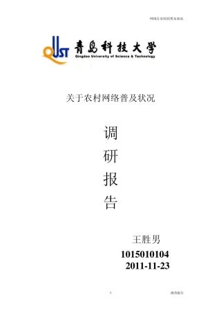 关于农村网络普及调查报告