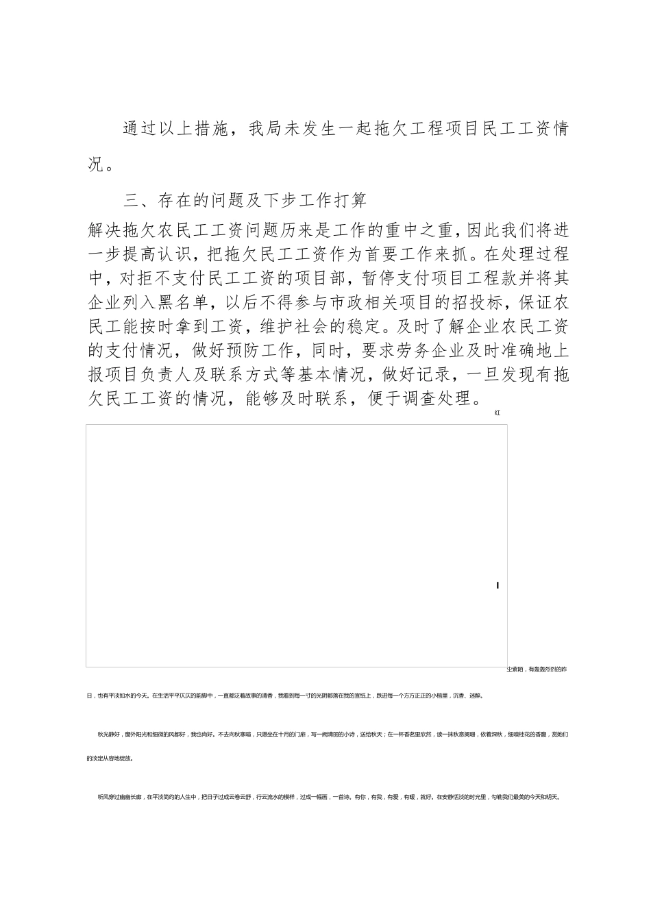 关于农民工工资支付情况的自查报告_第3页