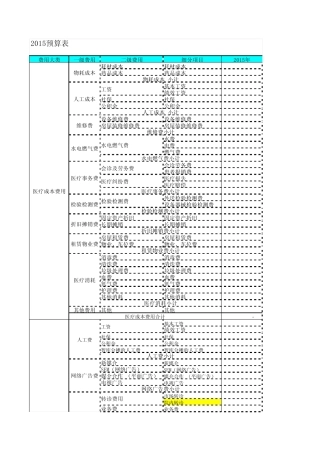医疗体系(医院)年度预算细分表