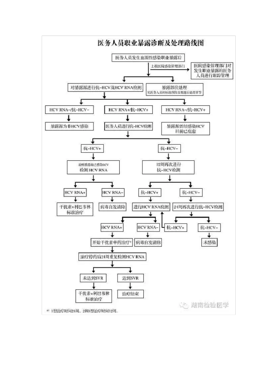 医疗职业暴露后处理流程_第3页