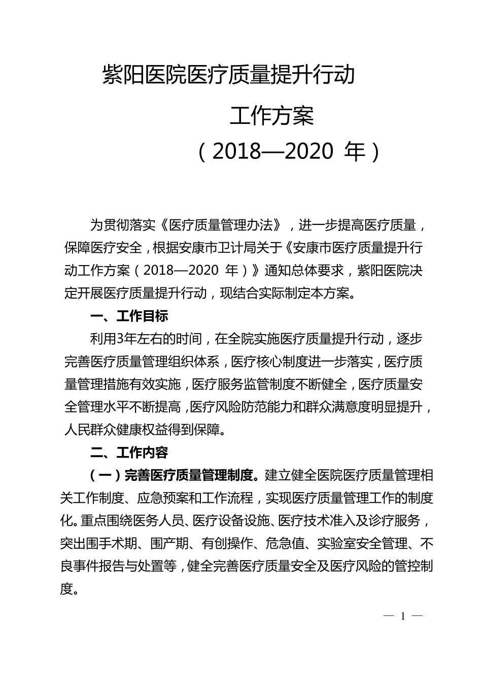 医疗质量提升行动实施方案_第1页