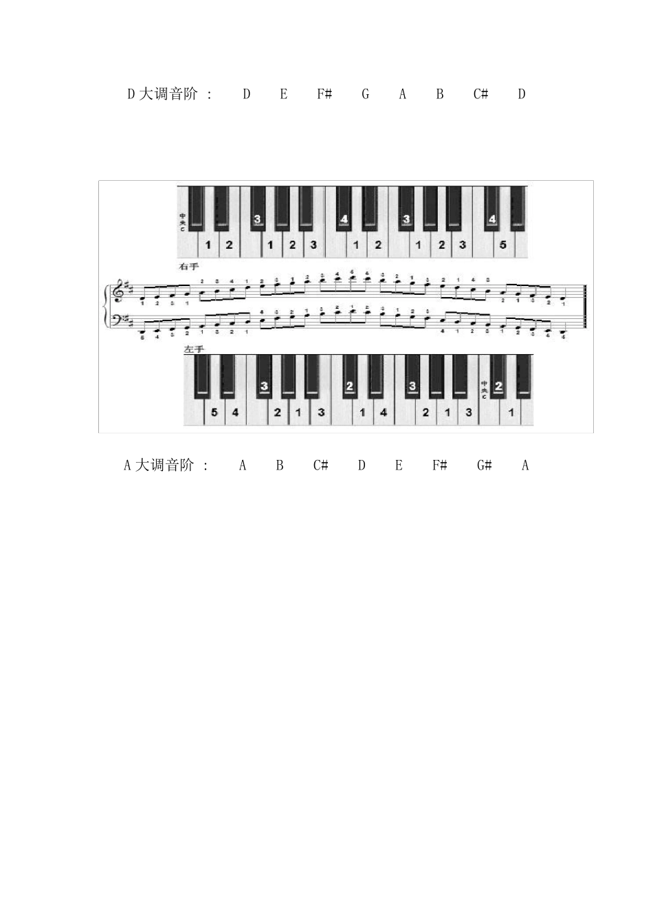 十二个大调的音阶及其左右手的指法图示大调音阶图_第2页