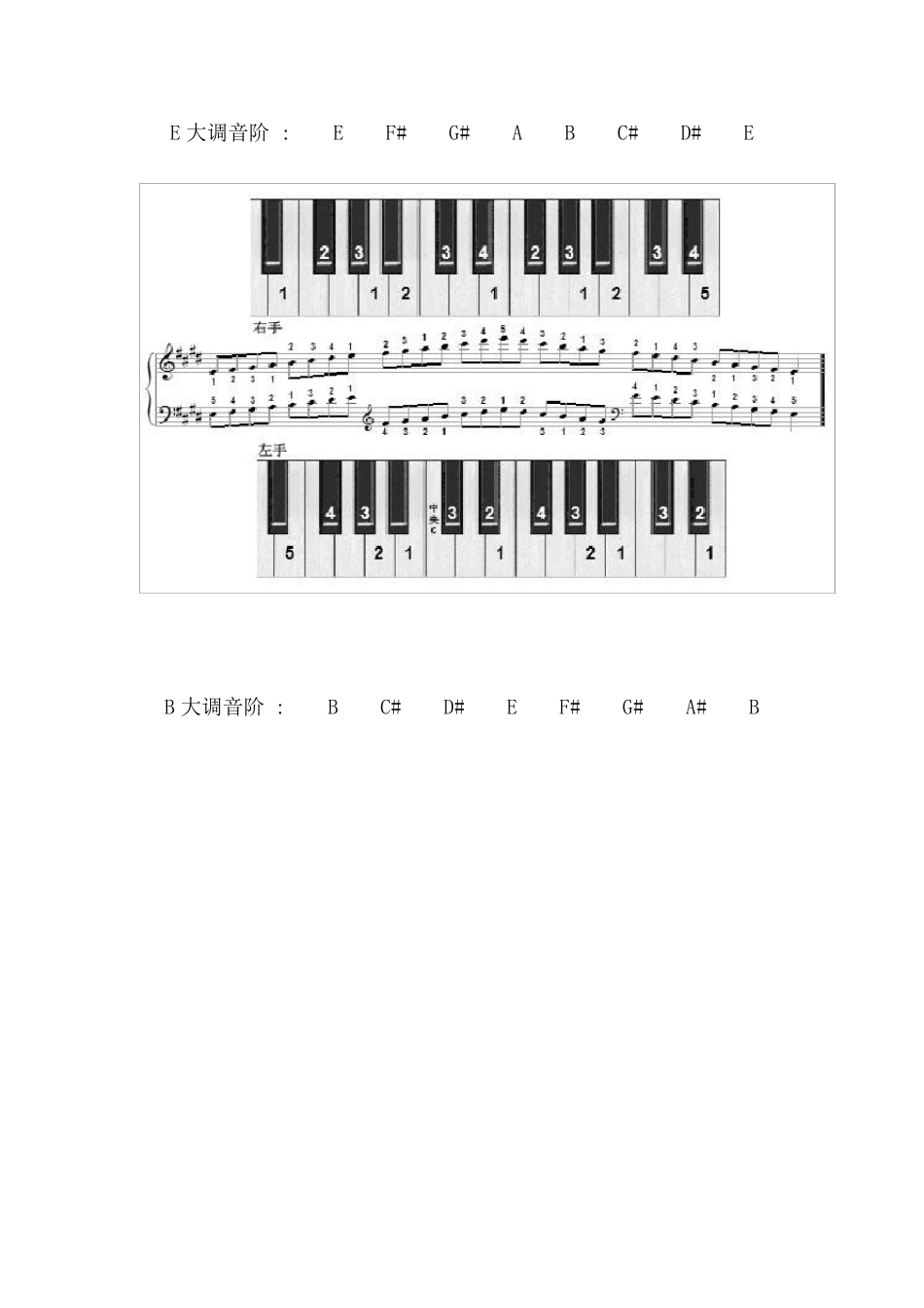 十二个大调的音阶及其左右手的指法图示大调音阶图_第3页