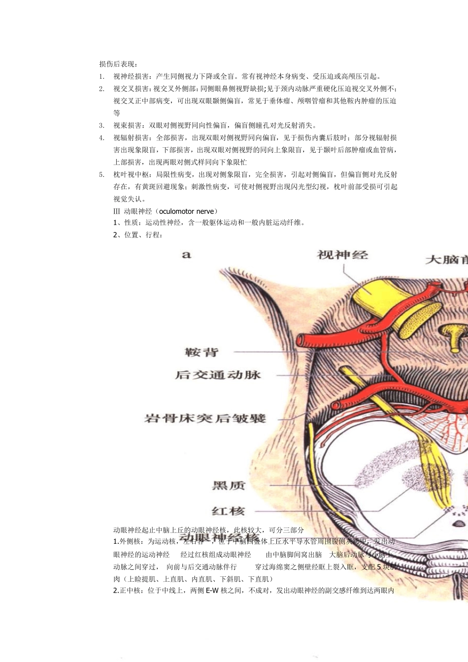 十二对脑神经整理版_第3页