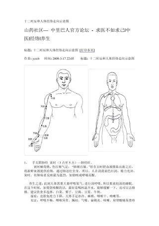 十二时辰和人体经络走向示意图
