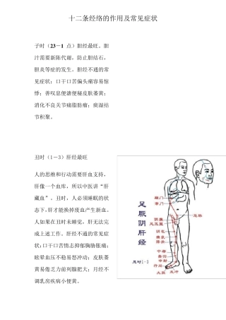 十二条经络的作用及常规症状