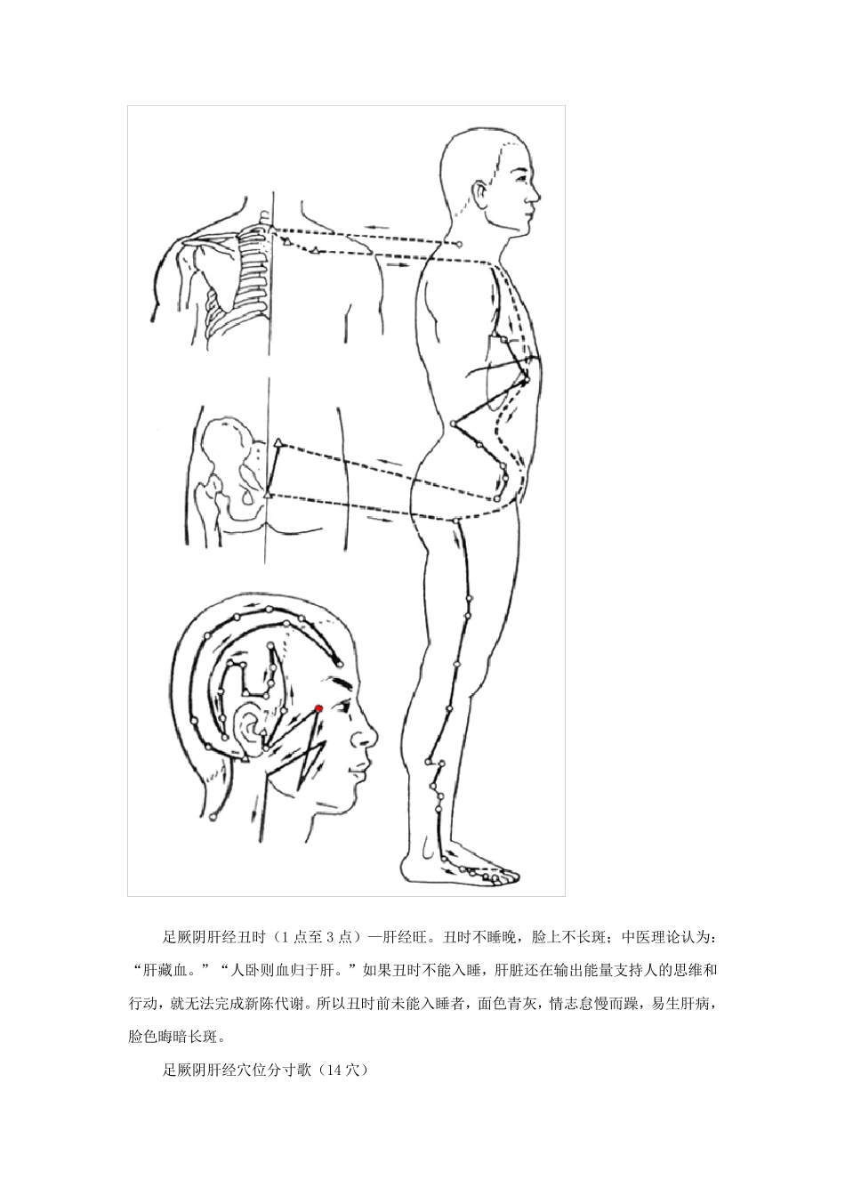 十二经络时辰、分寸歌诀、经络循行图_第2页