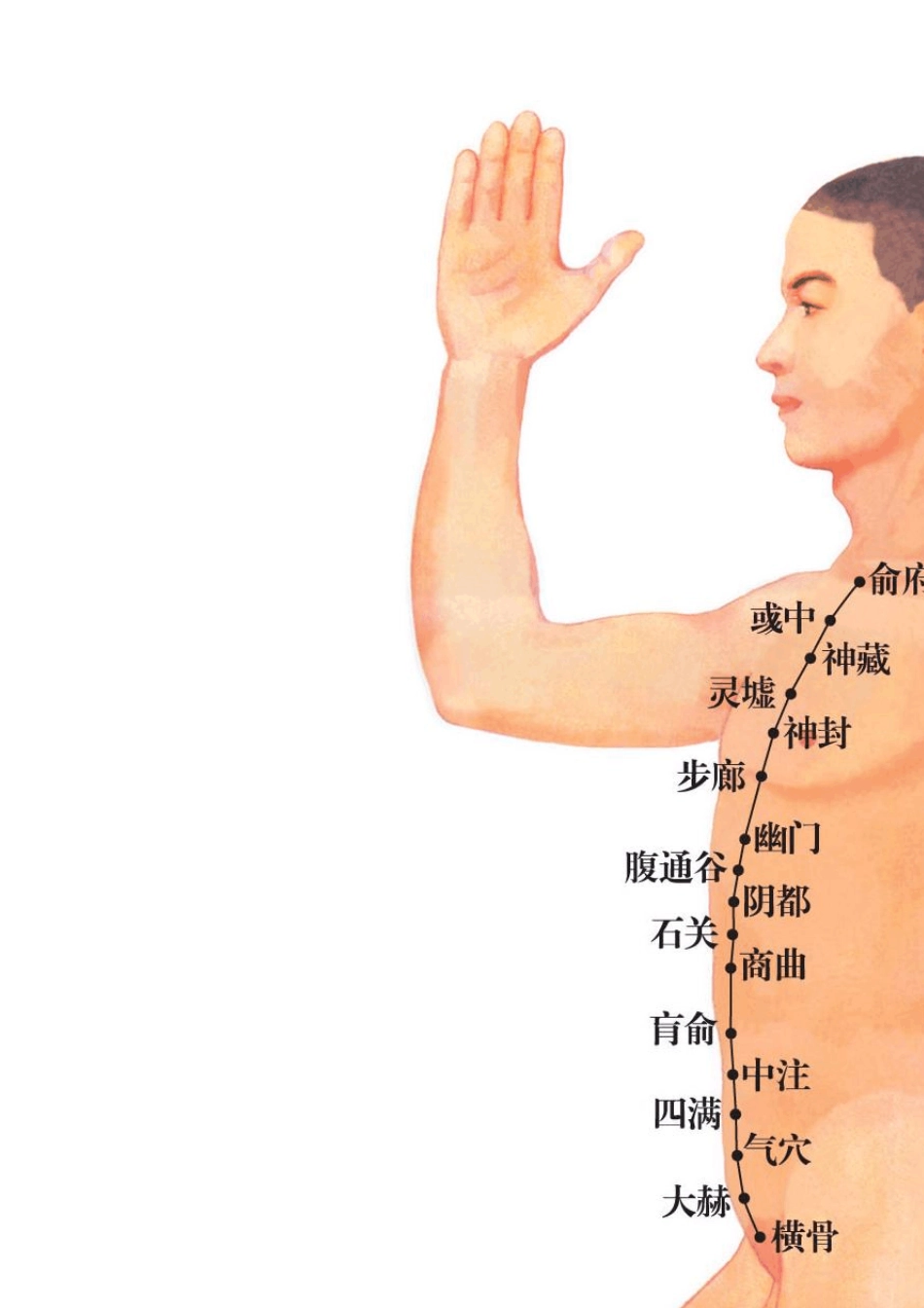 十二经络穴位图_第3页