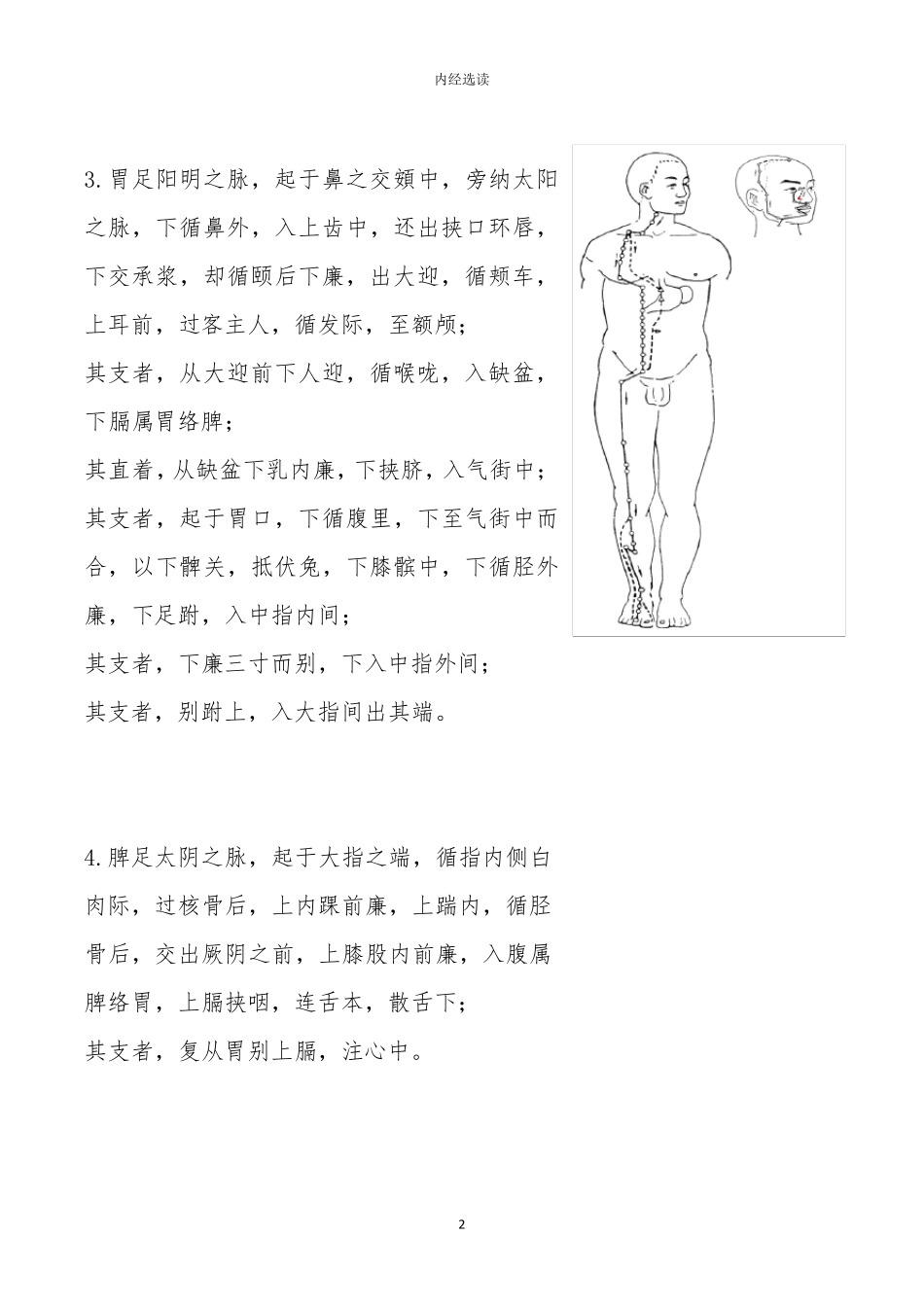 十二经脉循行_第2页