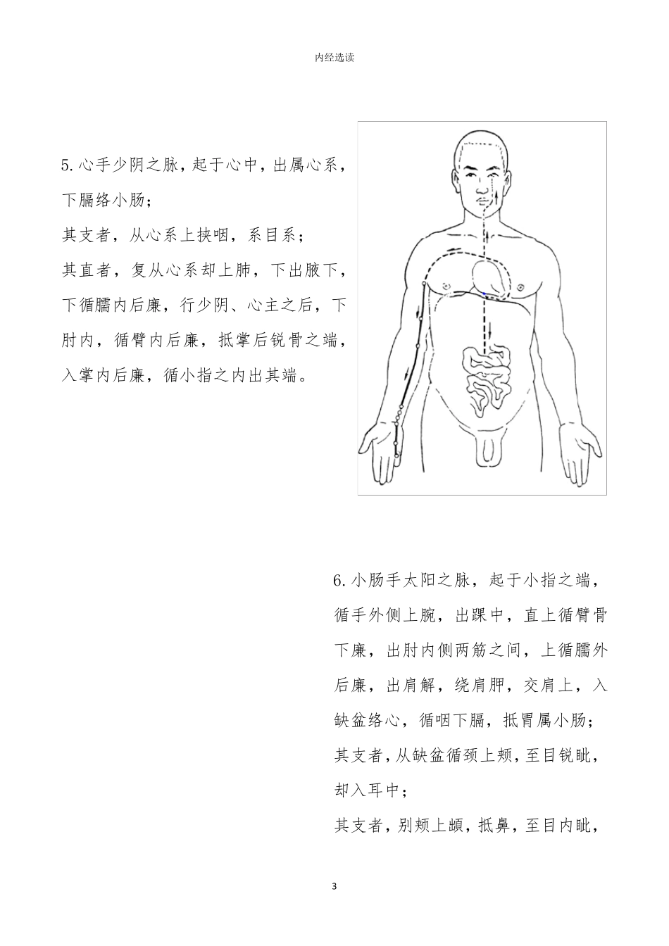 十二经脉循行_第3页