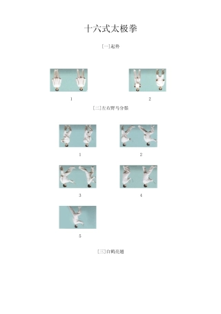 十六式太极拳图解