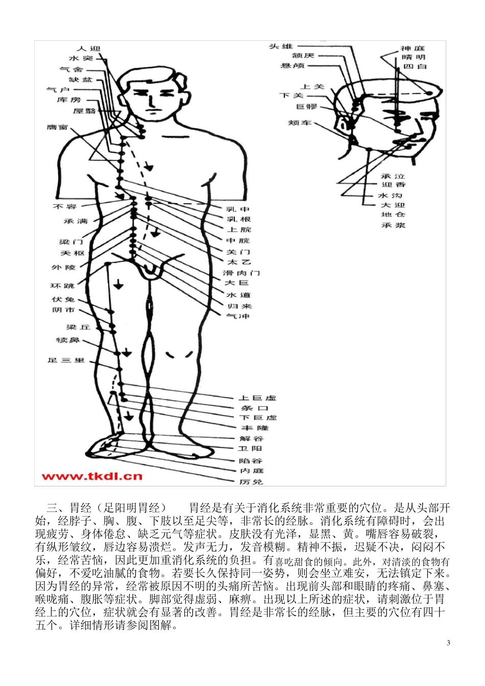 十四经络图解说明_第3页