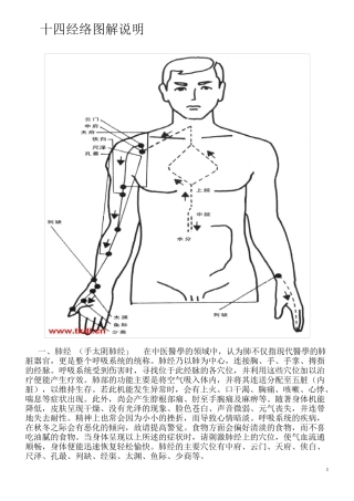 十四经络图解说明