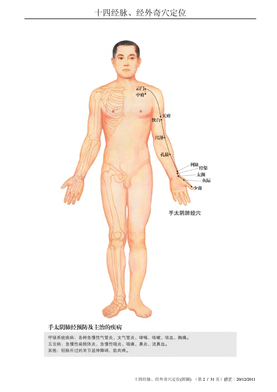 十四经腧穴图谱__第2页