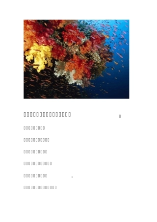 十大最美丽海洋生物图文照片