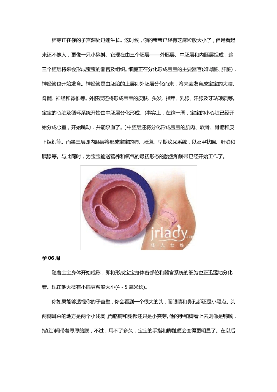 十月怀胎全过程图解_第3页