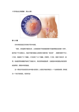 十月怀胎全过程图解