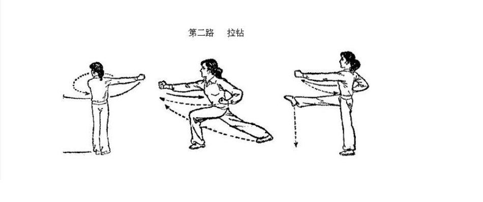 十路弹腿(王子平_第3页