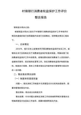 村镇银行消费者权益保护工作评价整改报告