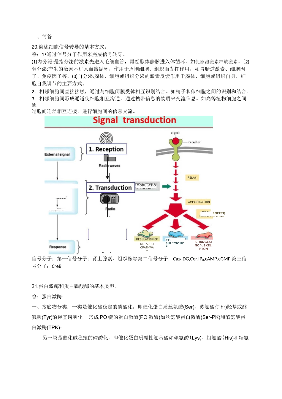 2020细胞信息与调控习题_第3页